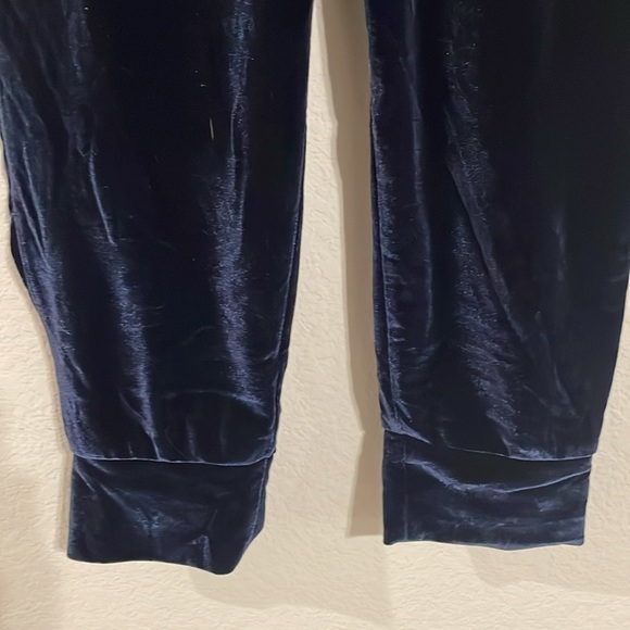 Fabletics Women’s Luxe Velour Joggers Small Blue Loungewear Gorpcore Activewear - Picture 10 of 17